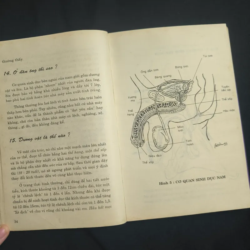(Giáo dục giới tính cho thanh thiếu niên) Người con gái lấy chồng - BS. Trần Bồng Sơn 697731
