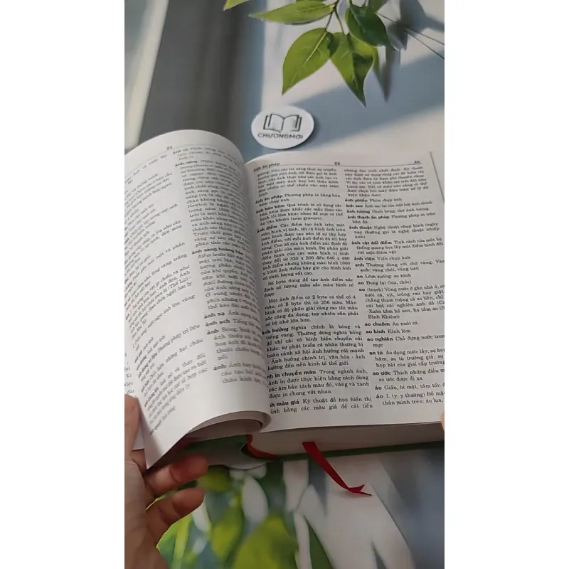 [MIỄN PHÍ BỌC SÁCH] Từ Điển Tiếng Việt Phổ Thông - Trương Văn Hùng 727267