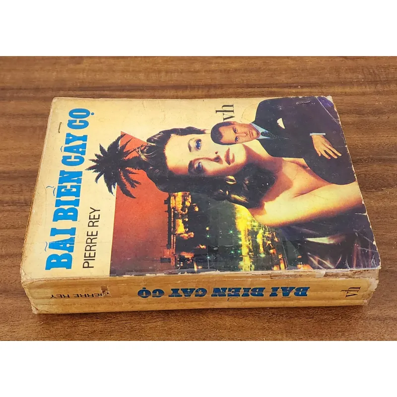 Tiểu thuyết của PIERRE REY - BÃI BIỂN CÂY CỌ (517 trang) 727198