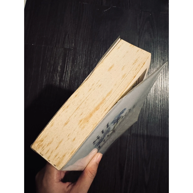 Sự bất tử - Milan Kundera 461093