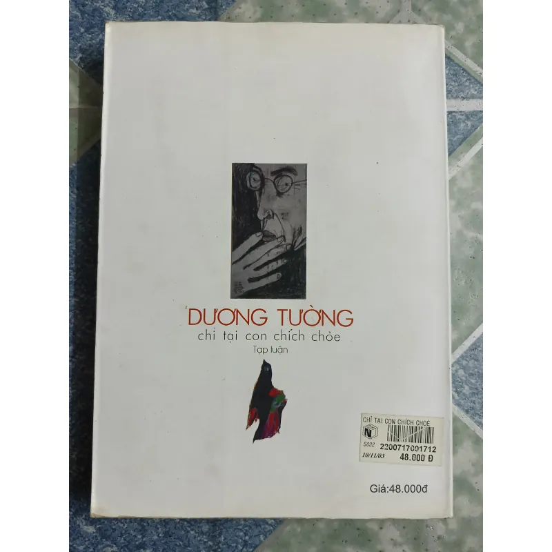 Chị tại con chích chòe - Dương Tường 564404