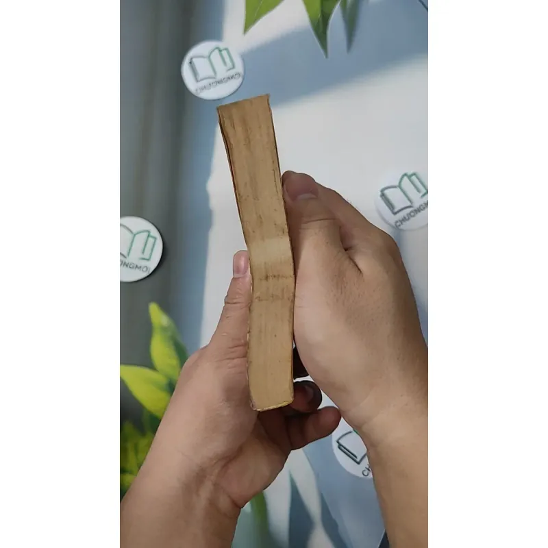 [XƯA] Cây Bút Vàng 2 (1999) 798305