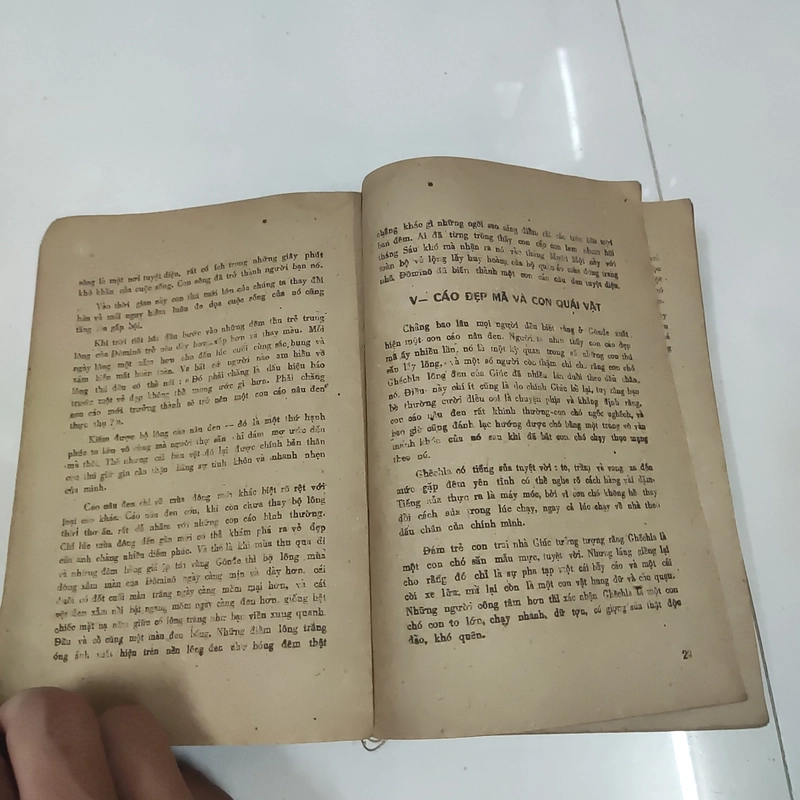 Truyện loài vật  391787