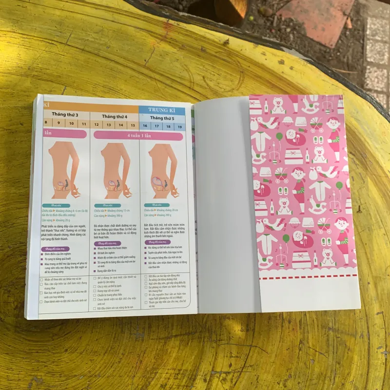 COMBO LẦN ĐẦU LÀM MẸ & THAI GIÁO PPKH DẠY CON TỪ TRONG BỤNG MẸ 958009