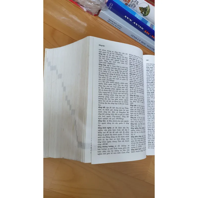 TỪ ĐIỂN TỪ VÀ NGU VIỆT NAM  739093