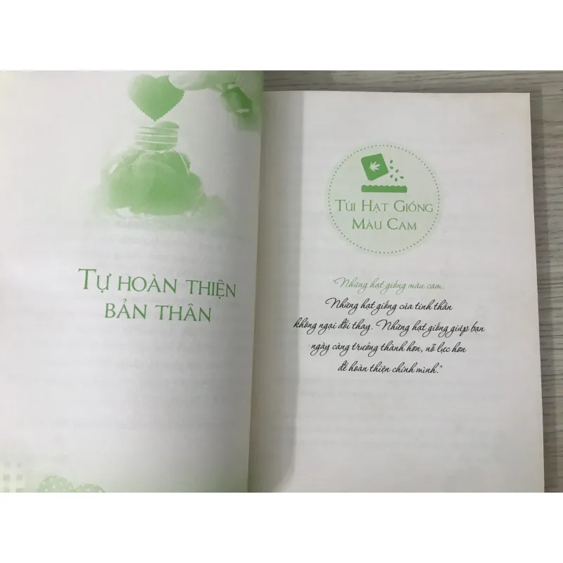 Hạt Giống Tâm Hồn: Tuổi Trẻ Không Bao Giờ Quay Lại 759117