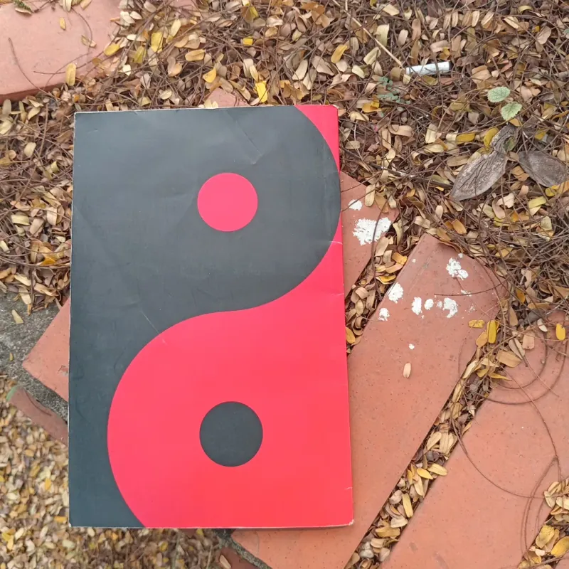 Tử vi tướng mệnh con người 1011037