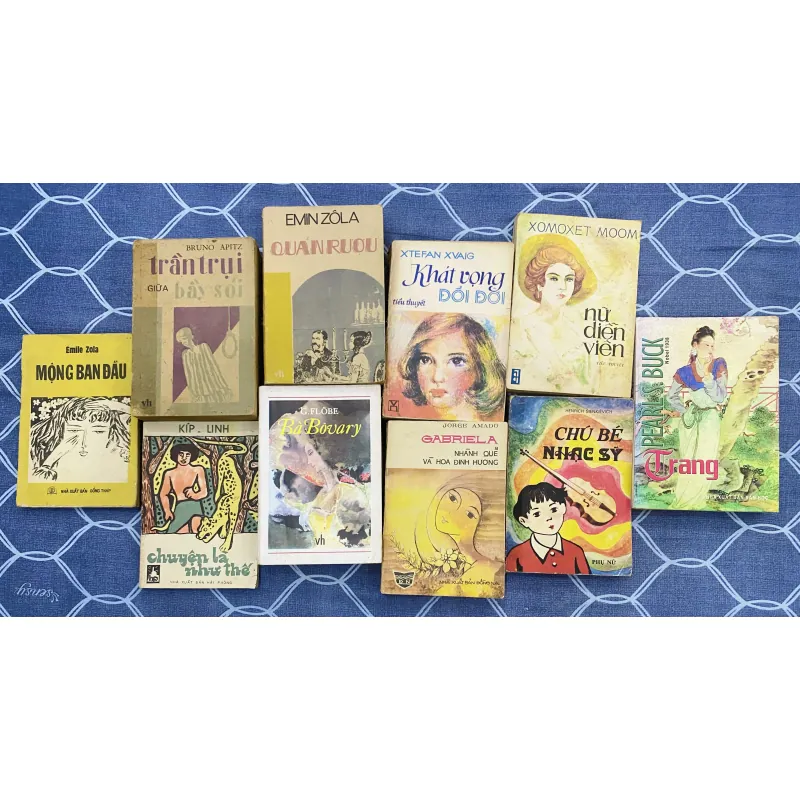 Combo sách văn học nước ngoài chọn lọc 990035