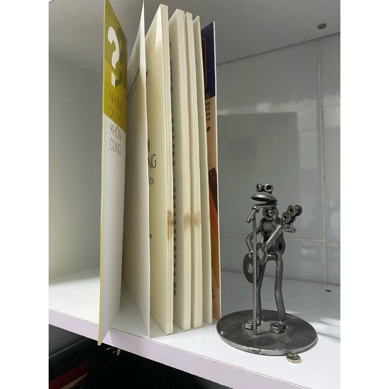 Những câu hỏi khôn cùng - Michael D. Moga 501040