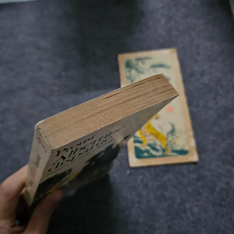 Albertine disparue - Marcel Proust 740734