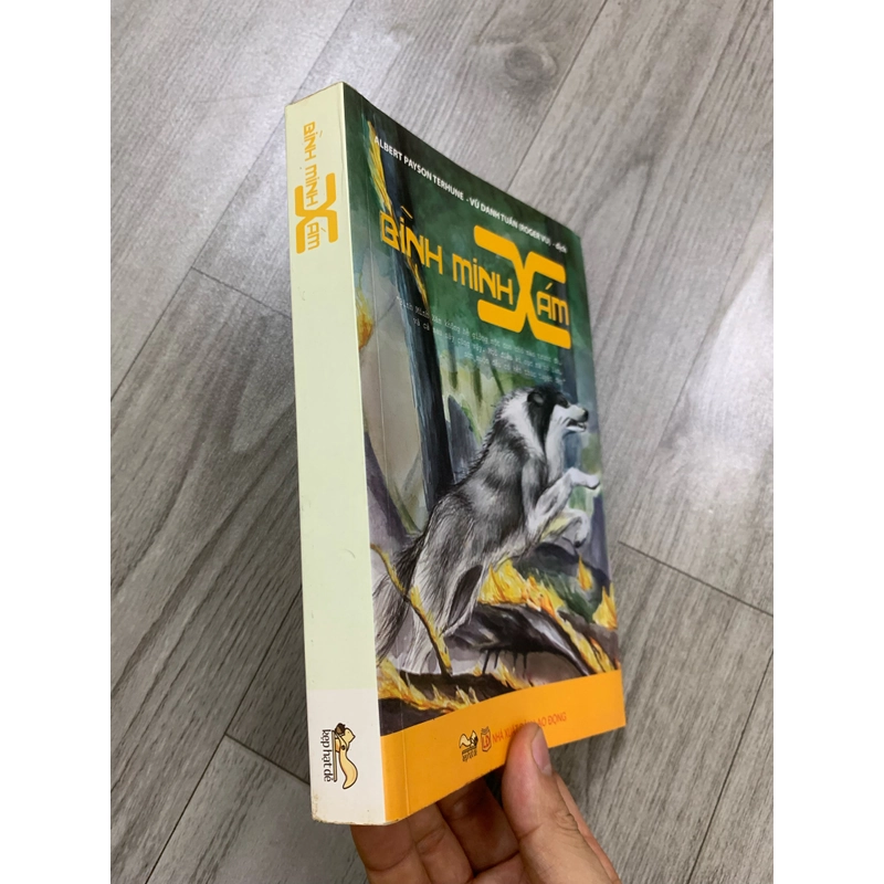 Bình minh xám. 999 458308