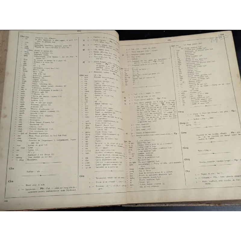 Dictionnaire vietnamien chinoiis francaise -Eugène 719146