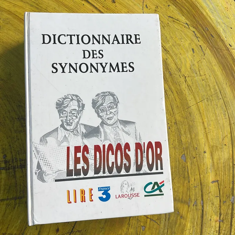 DICTIONNAIRE DESS SYNONYMES LES DICOS D’OR 735015