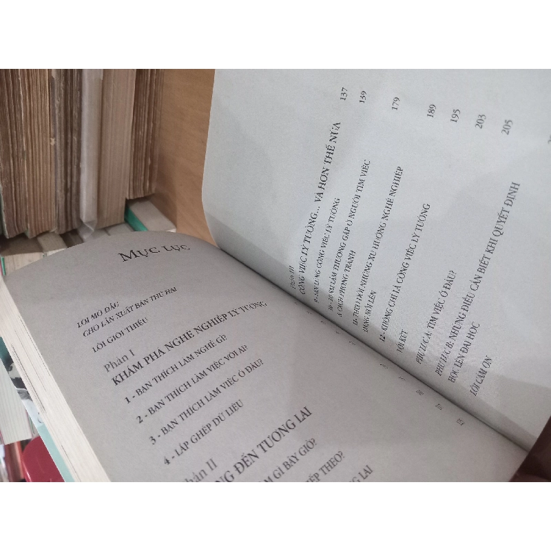 Chiếc dù của bạn màu gì? Bí quyết chọn nghề - Carol Christen & Richard N. Bolles 994568