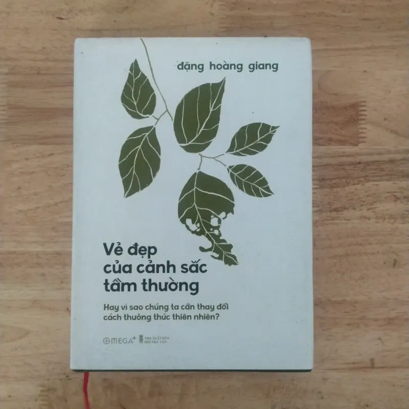 Vẻ đẹp của cảnh sắc tầm thường - cũ ( bìa cứng)- Đặng Hoàng Giang 1007163
