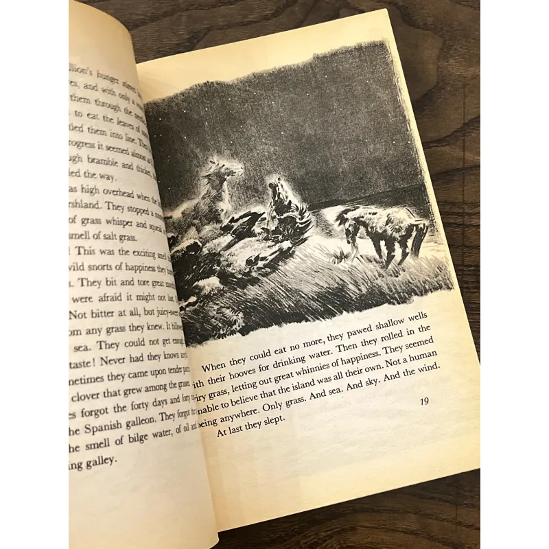 Misty of Chincoteague 972859