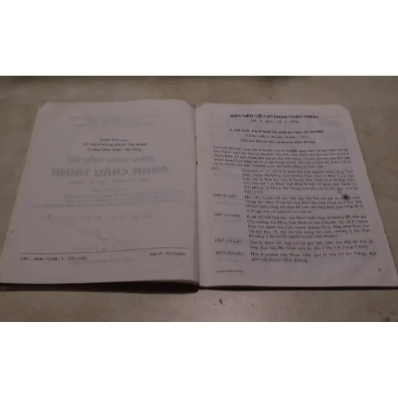 Biên niên sử Phan Châu Trinh 975753