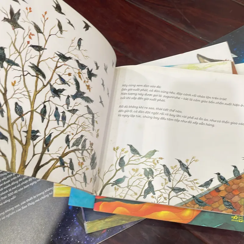 Combo 10 quyển KHOA HỌC CHẲNG KHÓ - CỰC HAY - sách như mới - NHÃ NAM 2019  1026667