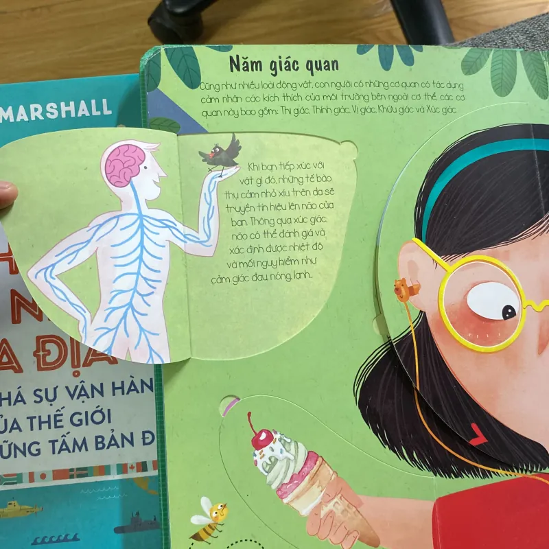 The human body cơ thể người 765876