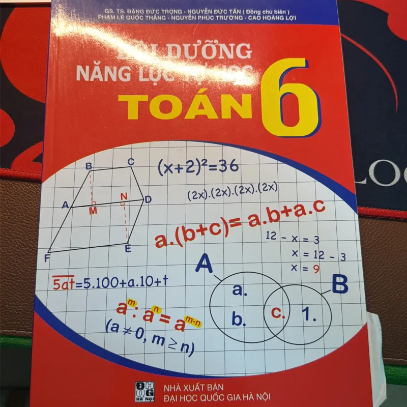 Bồi dưỡng năng lực tự học toán lớp 6 752491