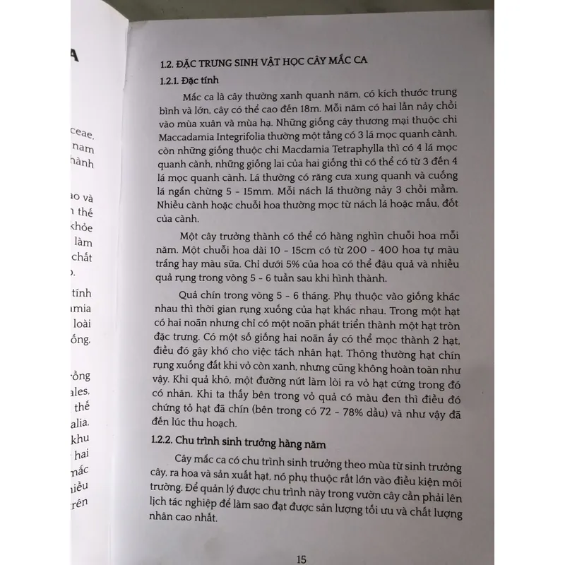 Ngành công nghiệp mắc ca trên thế giới và những bài học cho Việt Nam 654656