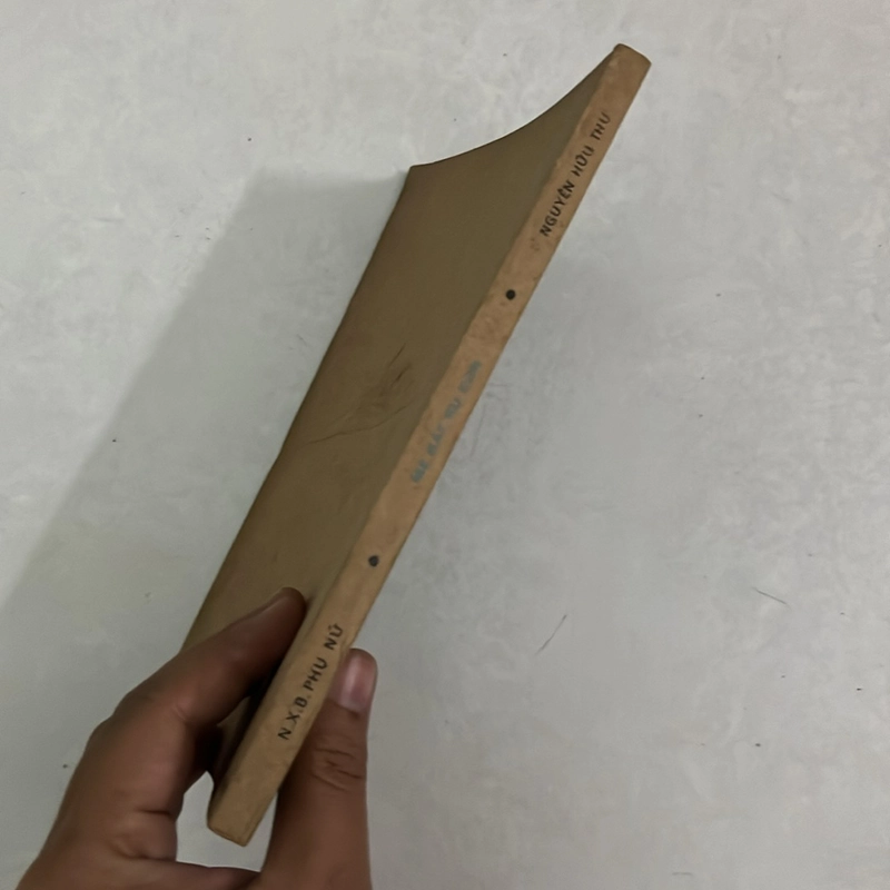 Mẹ hát ru con — Nguyễn Hữu Thu — 1987s 498697