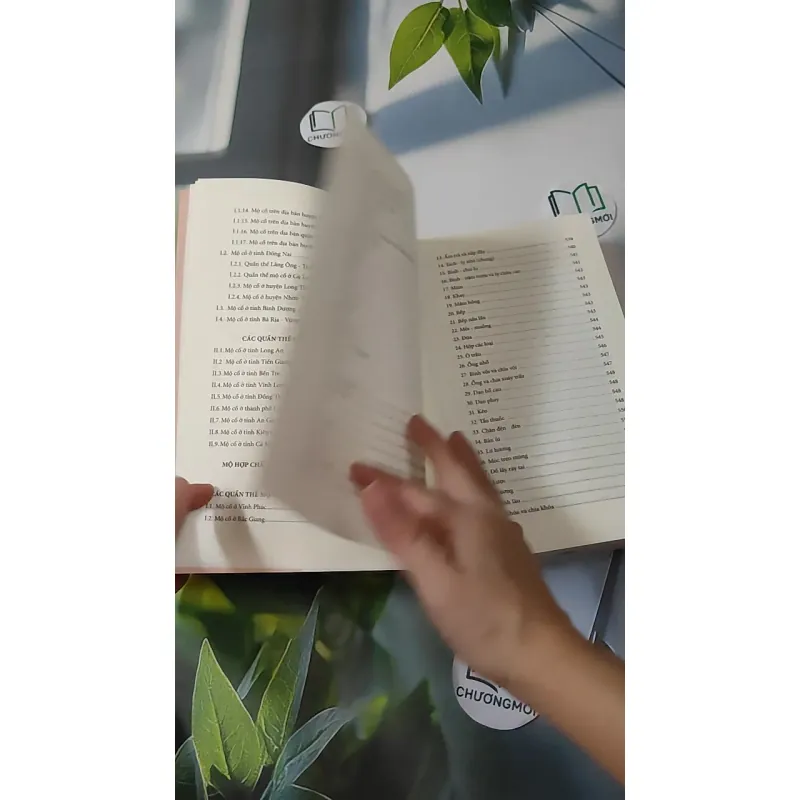 [MIỄN PHÍ BỌC SÁCH] Mộ Cổ Nam Bộ - Phạm Đức Mạnh 1018858