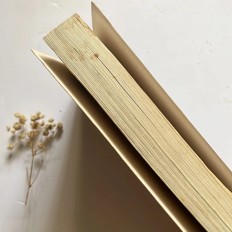 Bán sách cũ – Một Thế giới không có đàn bà – Bùi Anh Tấn 564638