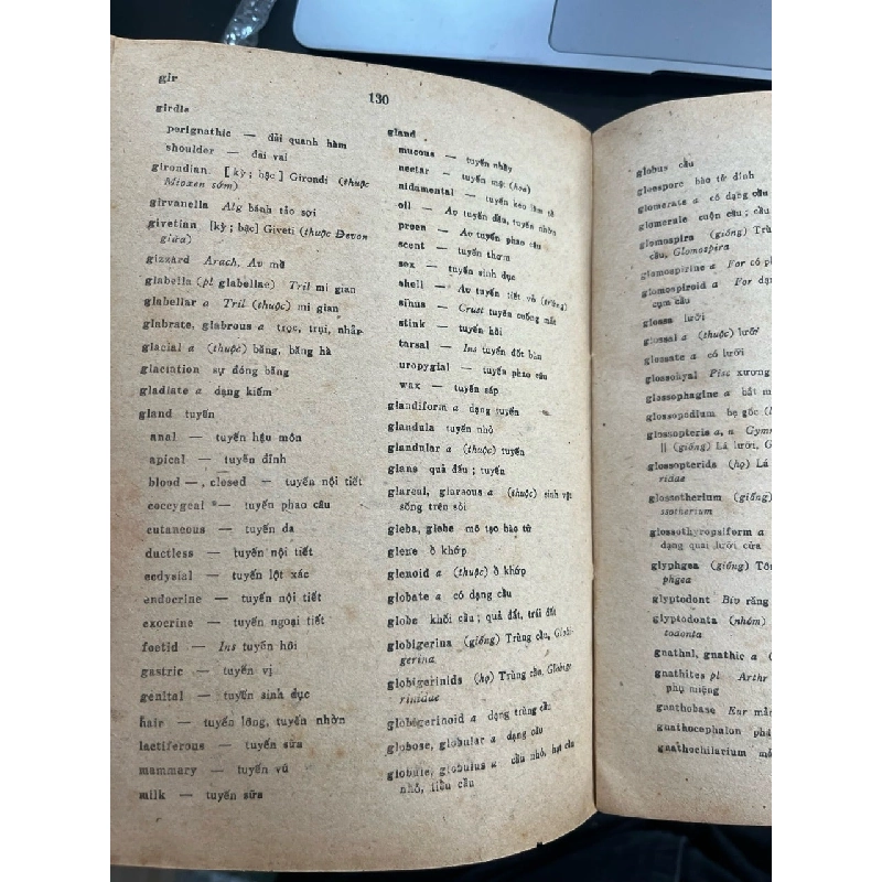 Từ điển cổ sinh vật Anh Việt 936447