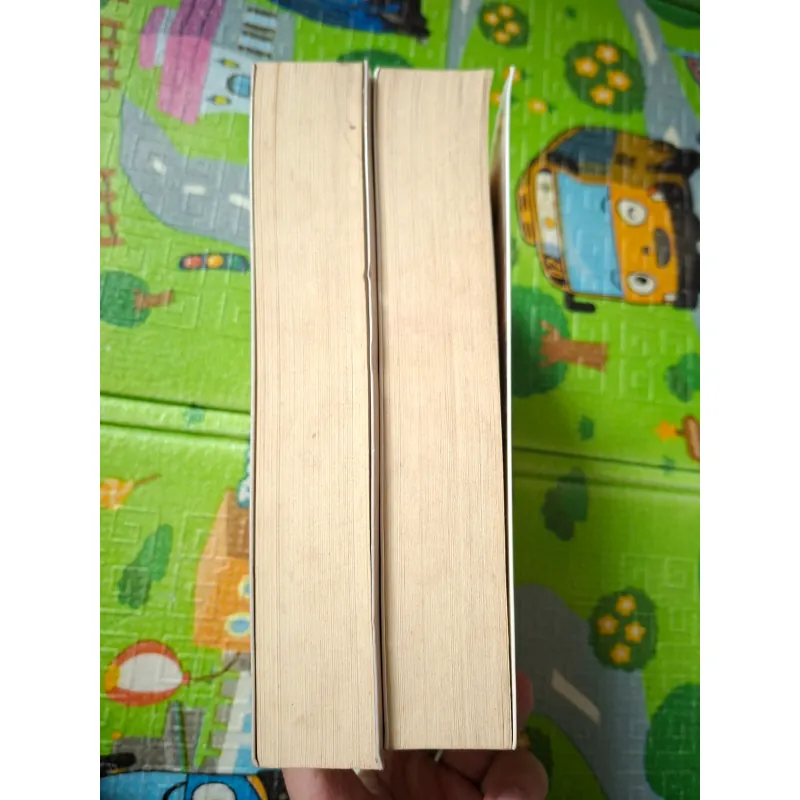 Cuốn Theo Chiều Gió (bộ 2 tập) 783413