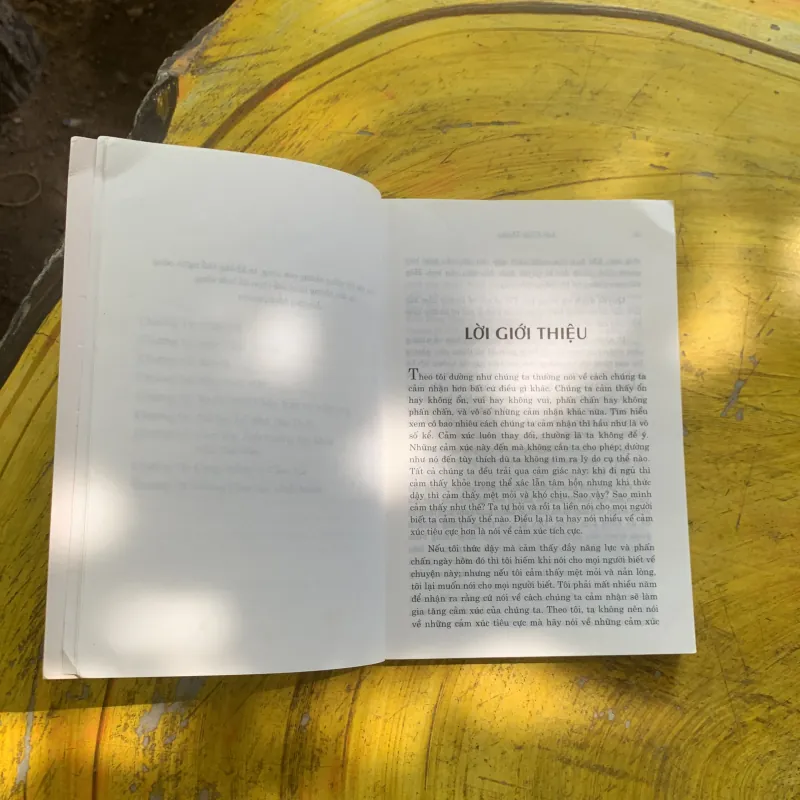 SỐNG VƯỢT TRÊN CẢM XÚC - JOYCE MEYER 937359