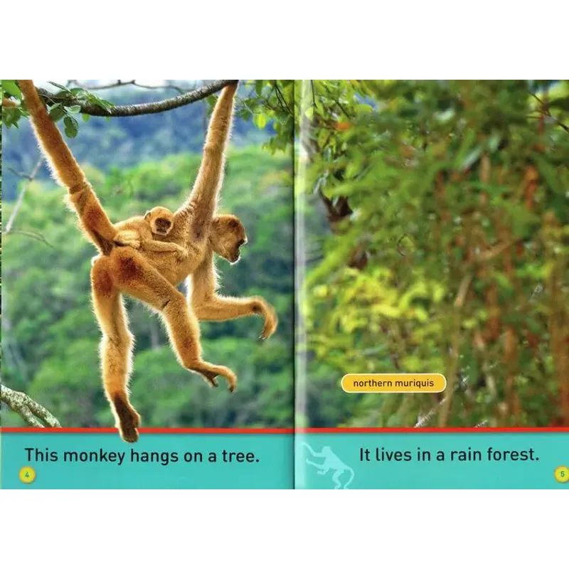 National geographic (Sách nhập) - Pre K - 30 quyển + File Mp3 759648