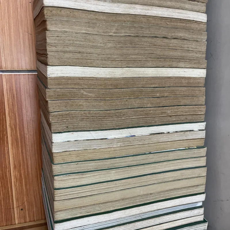 Truyện tranh Clamp Tsubasa 28 quyển 796627