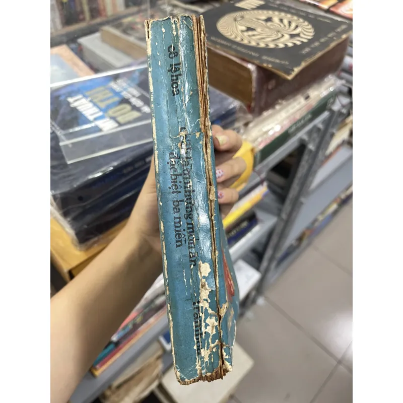 CÁCH LÀM NHỮNG MÓN ĂN ĐẶC BIỆT BA MIỀN - LỆ HOA 961503