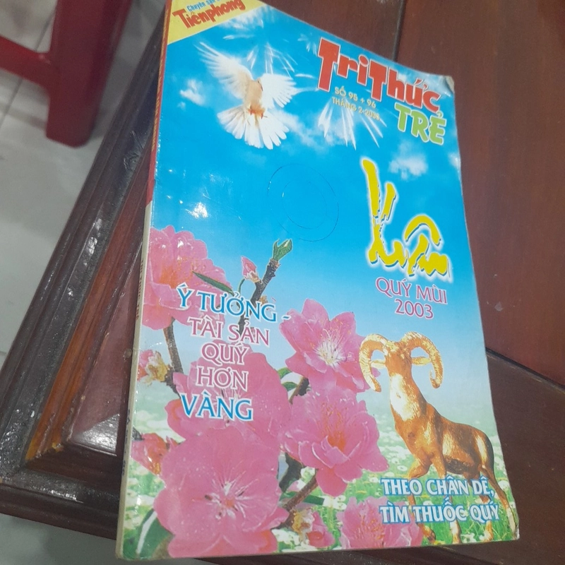 Tri Thức Trẻ XUÂN QUÝ MÙI 2003 461091