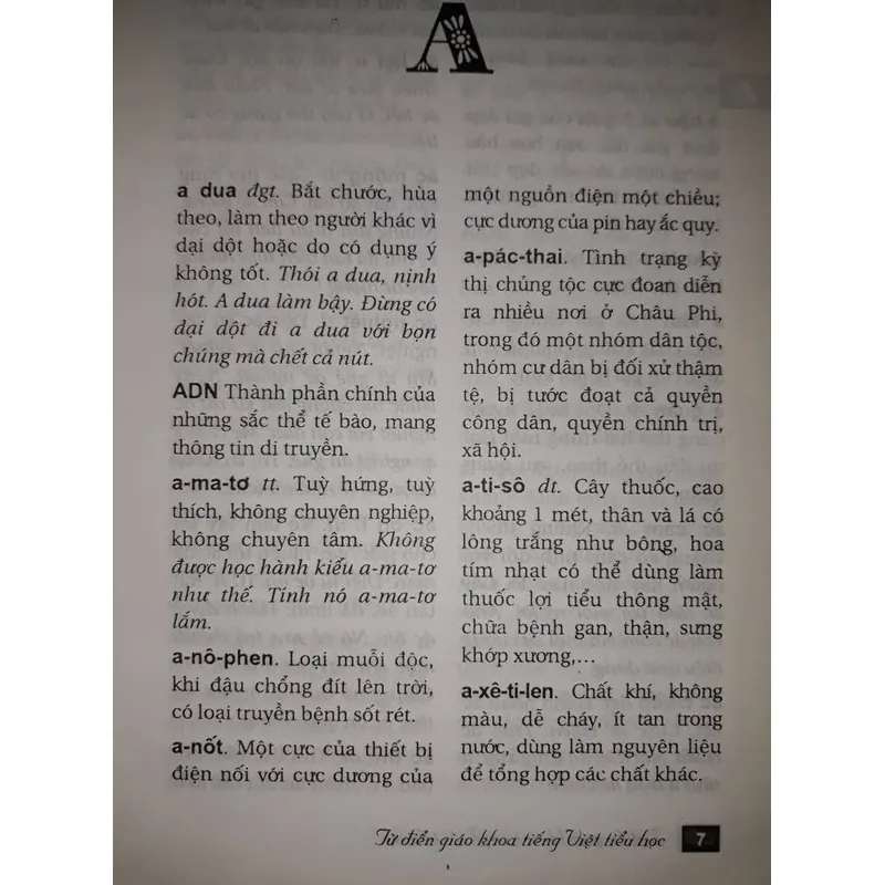 Từ điện giáo khoa tiếng Việt tiểu học 697871