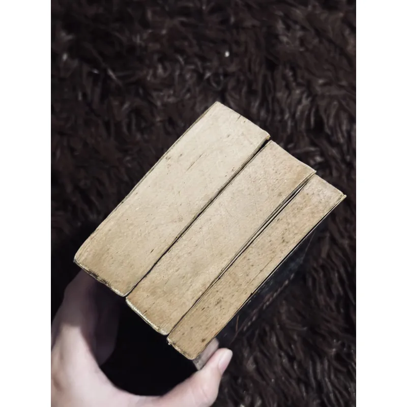 Pie đệ nhất (sách khổ nhỏ) 932534