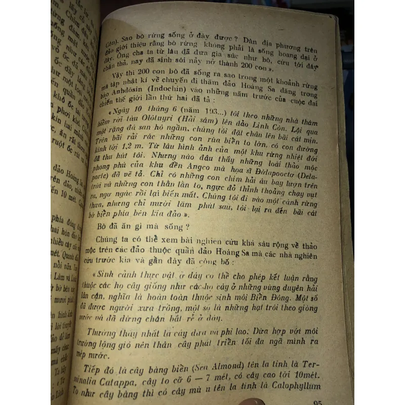 Kể về hải đảo của chúng ta - Vũ Phi Hoàng 928674