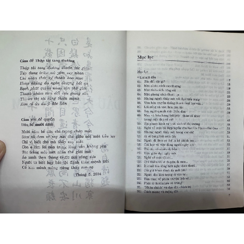 Dâu Bể Mười Năm - Cao Tự Thanh, mới 80% (ố nhẹ), 2004 SBM0202 Oreka-Blogmeo 68866