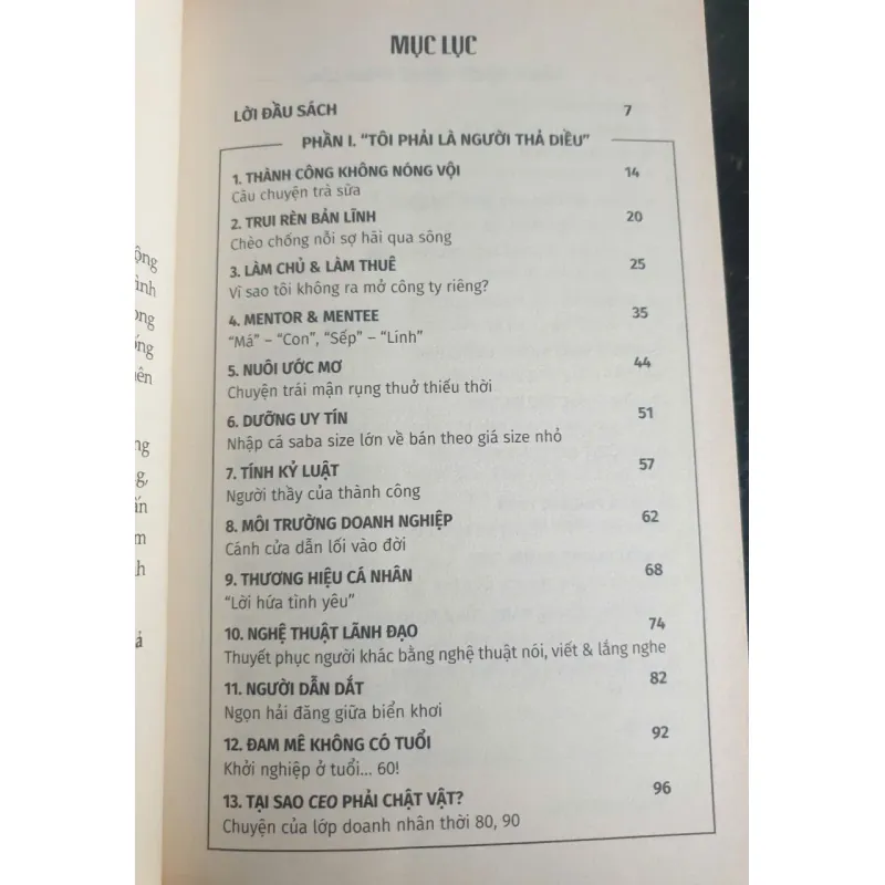 Người Thả Diều - Lê Thị Thanh Lâm 737210