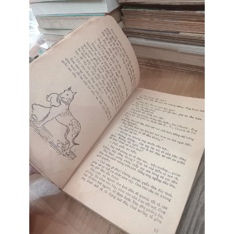 NHỮNG CUỘC PHIÊU LƯU KỲ LẠ CỦA KARIK VÀ VALIA - IAN LARI 136466