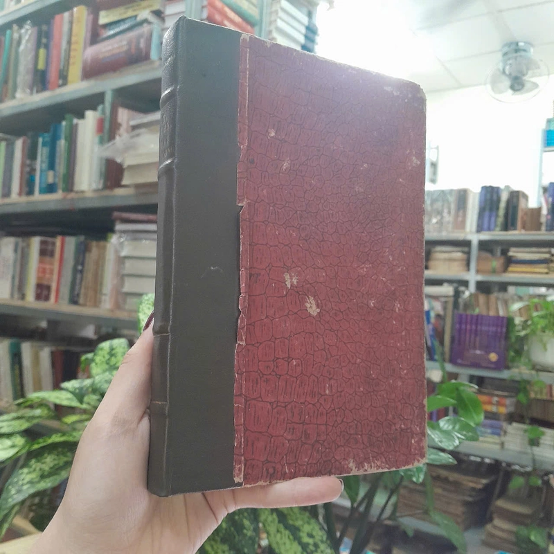 TƯ TƯỞNG TÂY PHƯƠNG - THANH VÂN 494501
