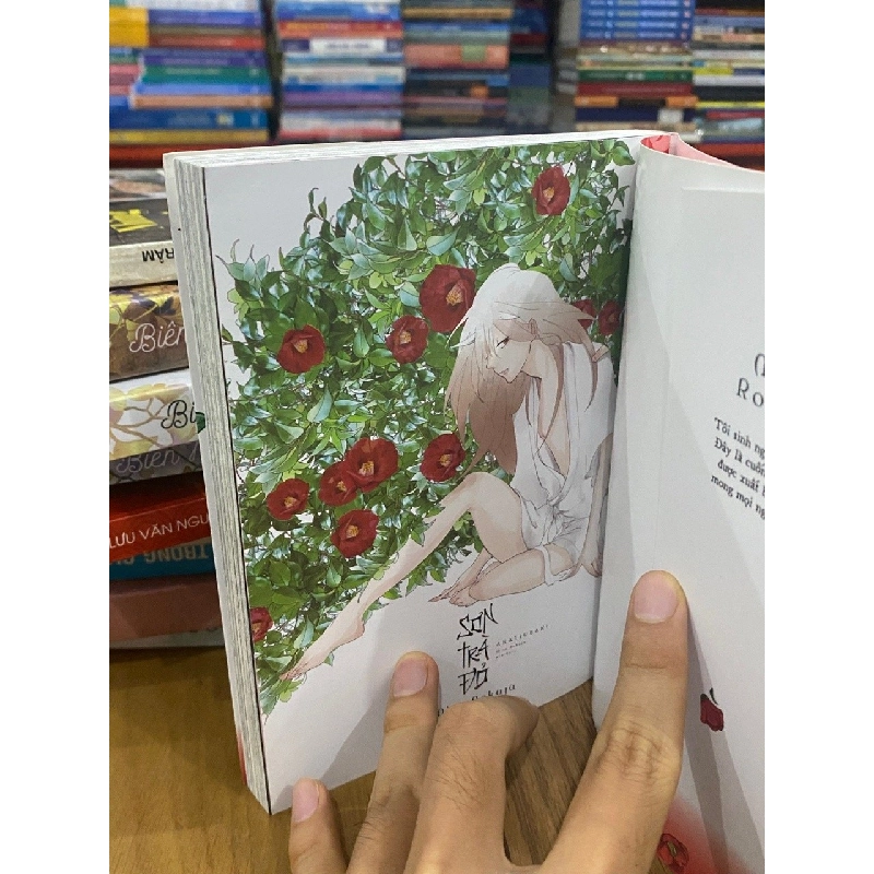 Sơn trà đỏ - Mita Rokuju 546390