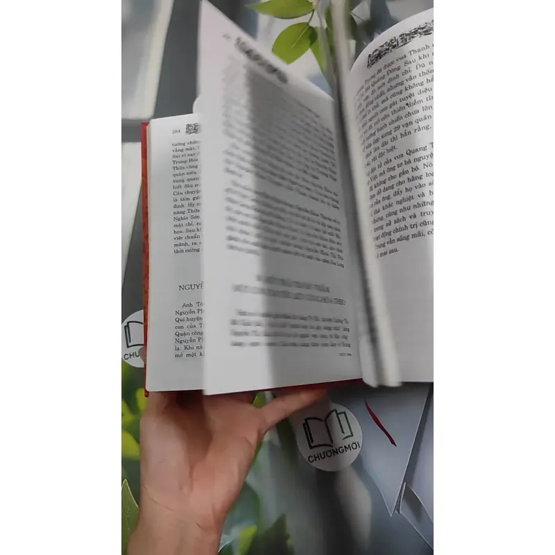 Chuyện Tình Vua Chúa Hoàng Tộc Việt Nam - Đinh Công Vĩ 990453