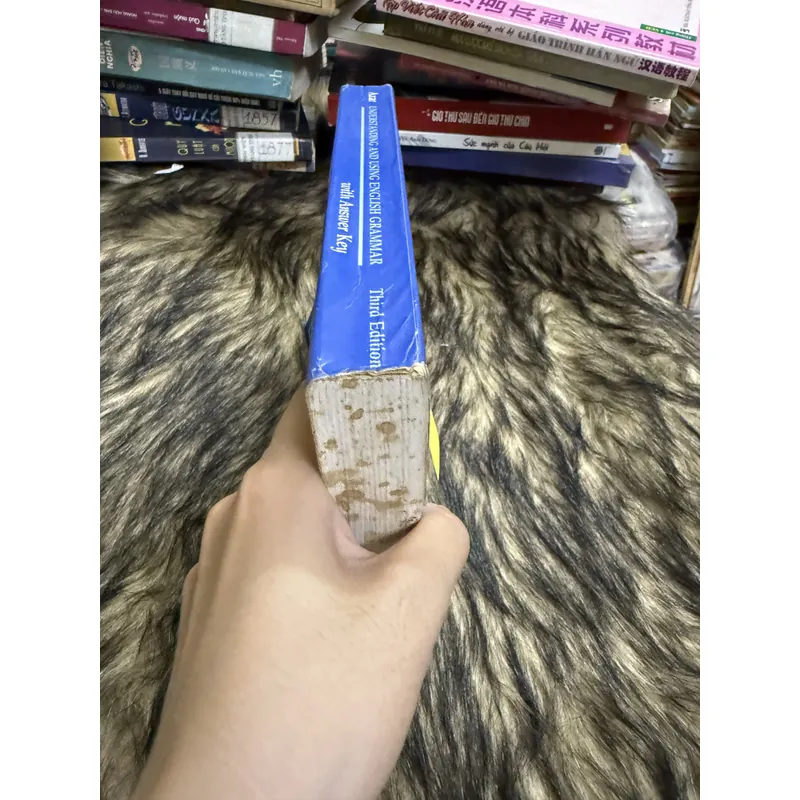 English Grammar  600669