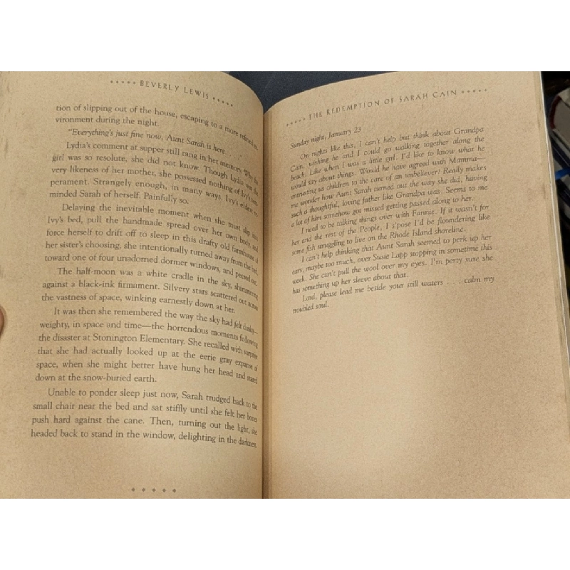 The Redemption of Sarah Cain - Beverly Lewis 784701