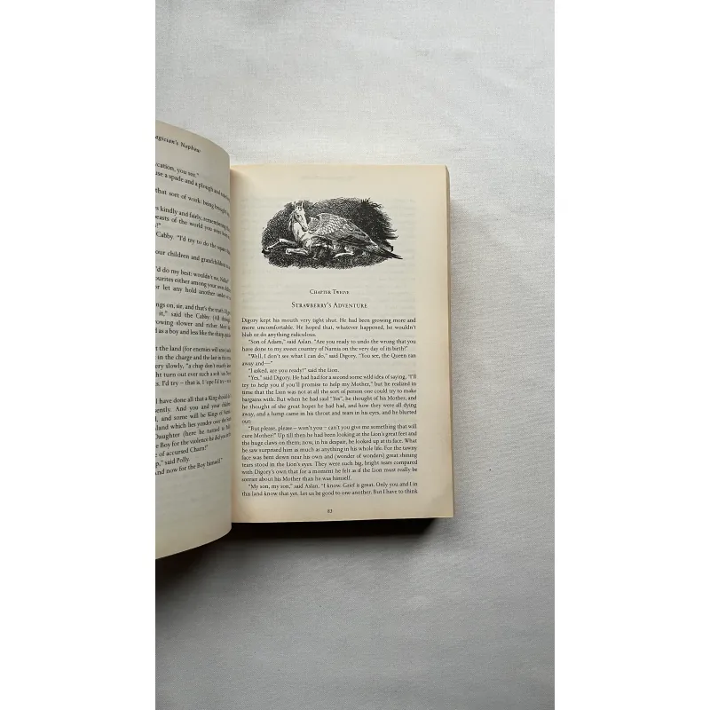 The Chronicles of Narnia  960684