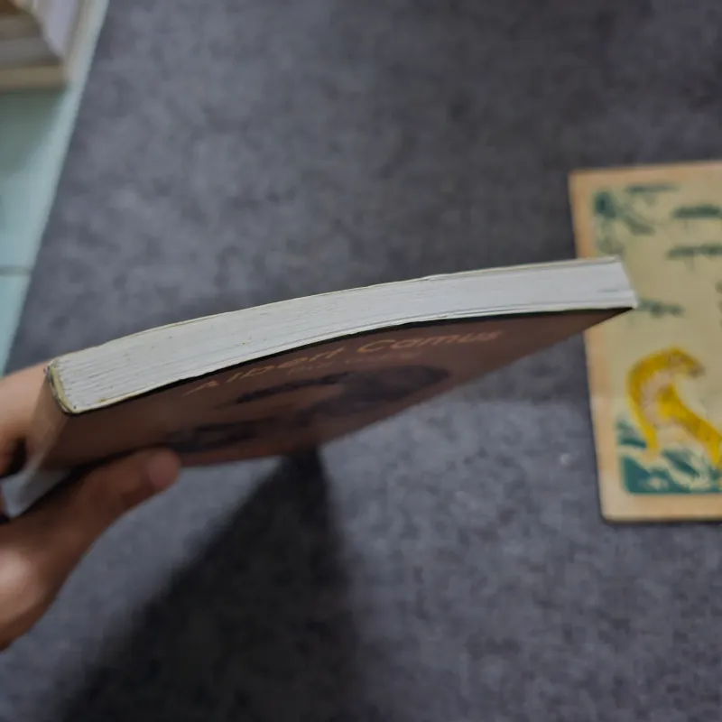 Ngộ nhận - Albert Camus - Bùi Giáng dịch 746288