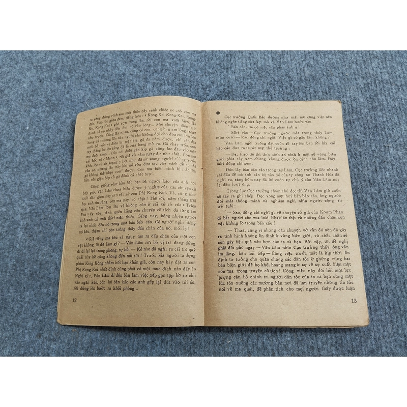 NỮ ĐIỆP VIÊN SAO CHĂM PA 479769