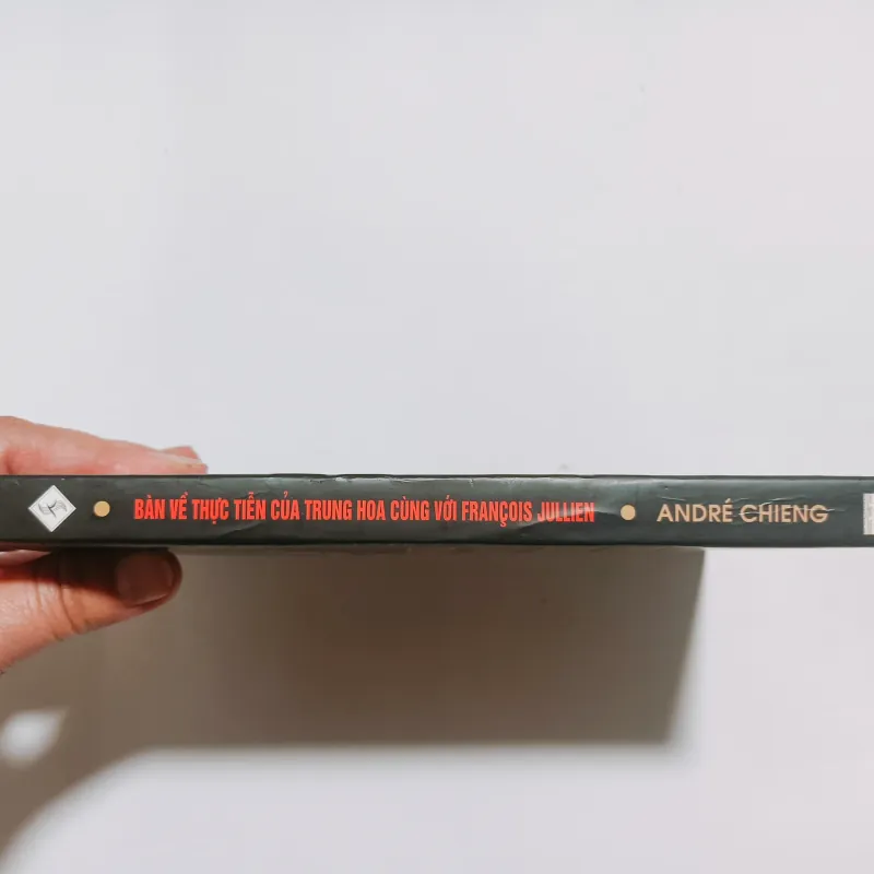 Bàn Về Thực Tiễn Của Trung Hoa Cùng Với Francoise Jullien - André Chieng 785209